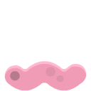 ../_images/wormPink.png